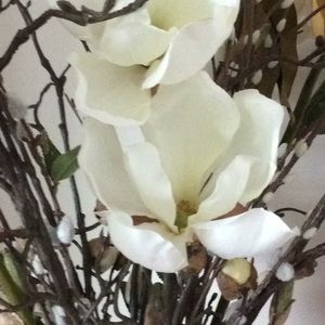 Meet your Posher, Bonny